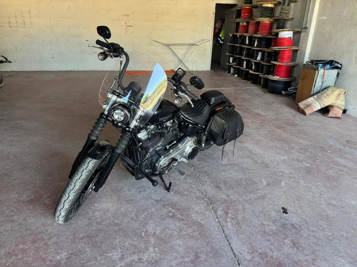 Harley-Davidson Street Bob 117 (2025 - 26) (10)