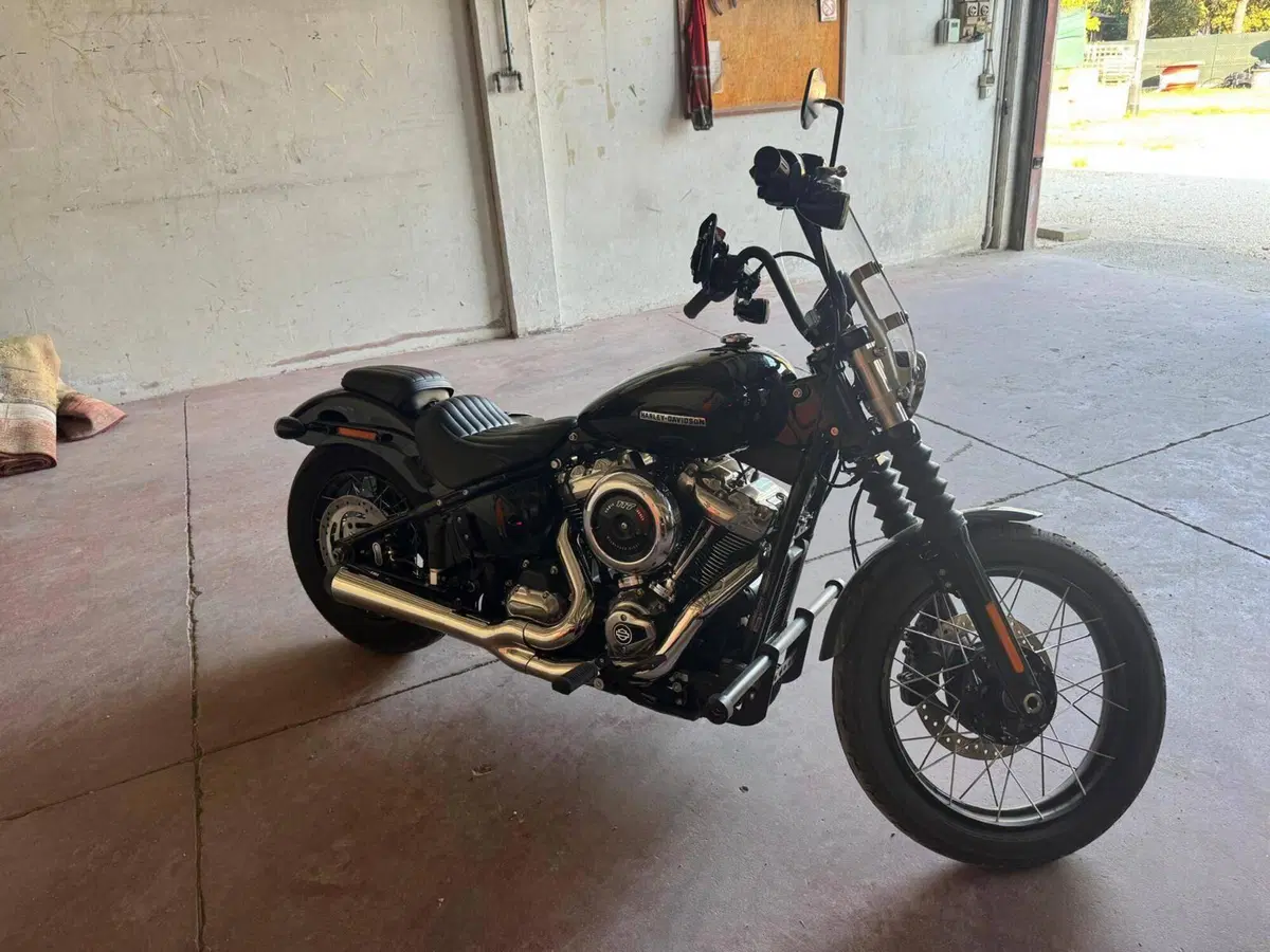 Harley-Davidson Street Bob 117 (2025 - 26) (11)