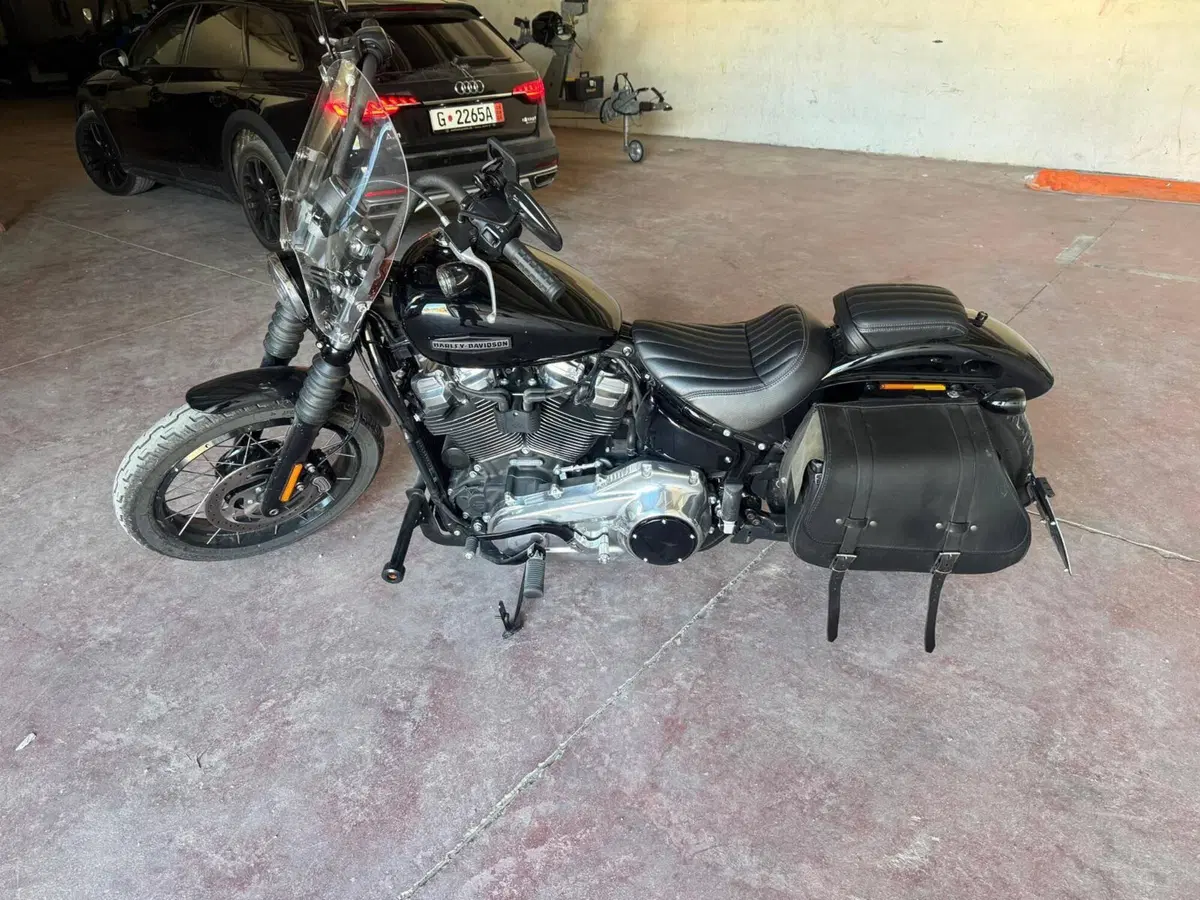 Harley-Davidson Street Bob 117 (2025 - 26)