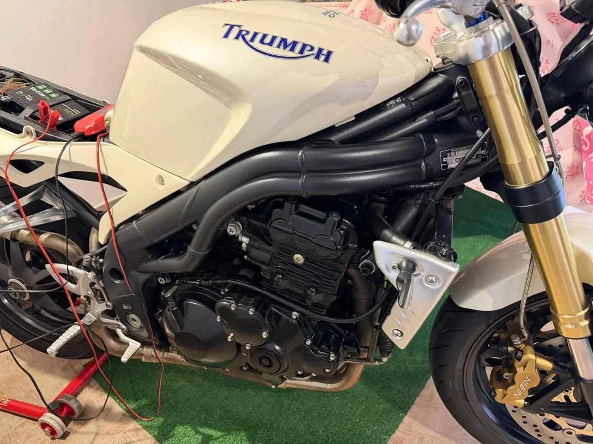 Triumph Speed Triple 1050 (2005 - 11) (2)