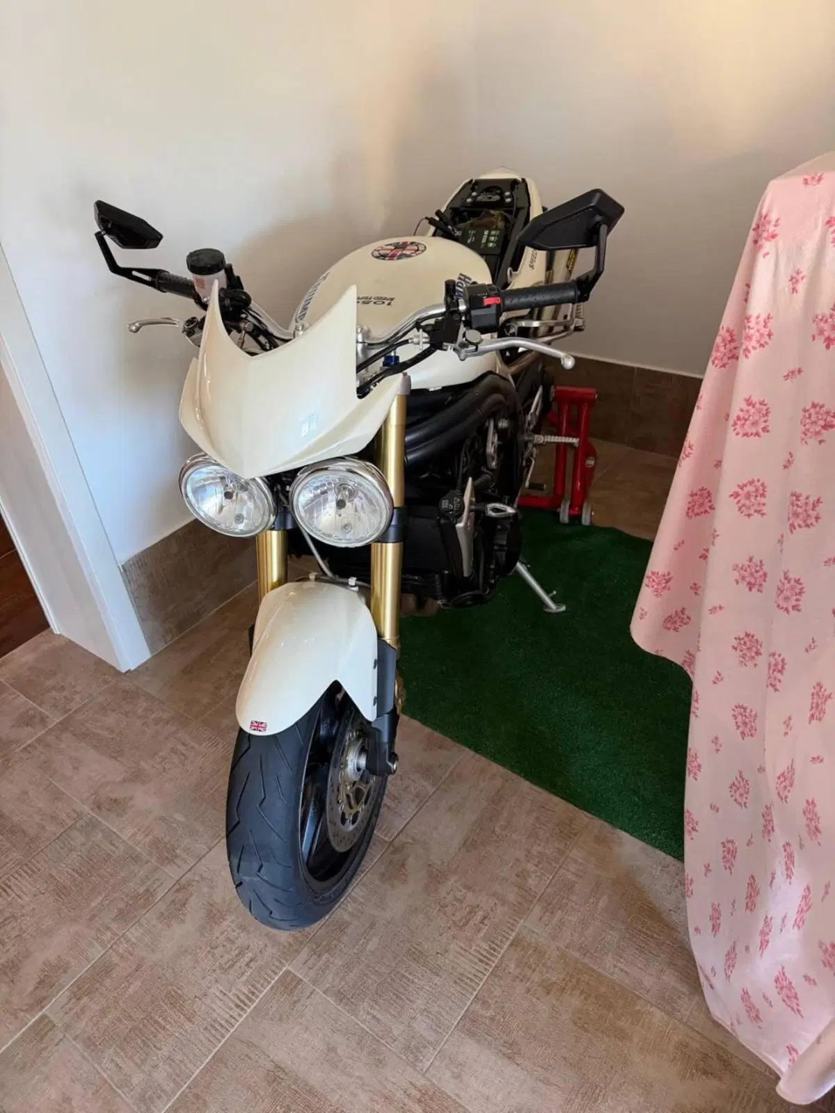 Triumph Speed Triple 1050 (2005 - 11) (3)