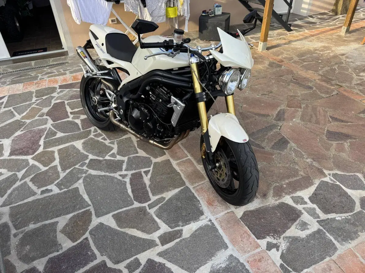 Triumph Speed Triple 1050 (2005 - 11) (6)