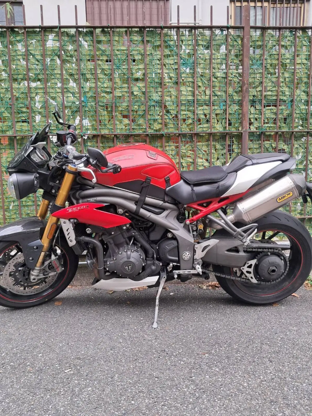 Triumph Speed Triple 1050 R ABS (2016 - 17) (7)