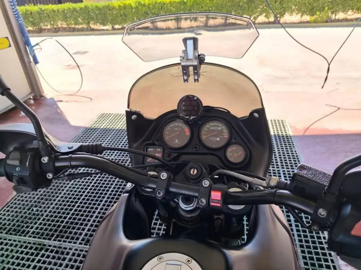 Aprilia Pegaso 650 IE (2003 - 04) (5)