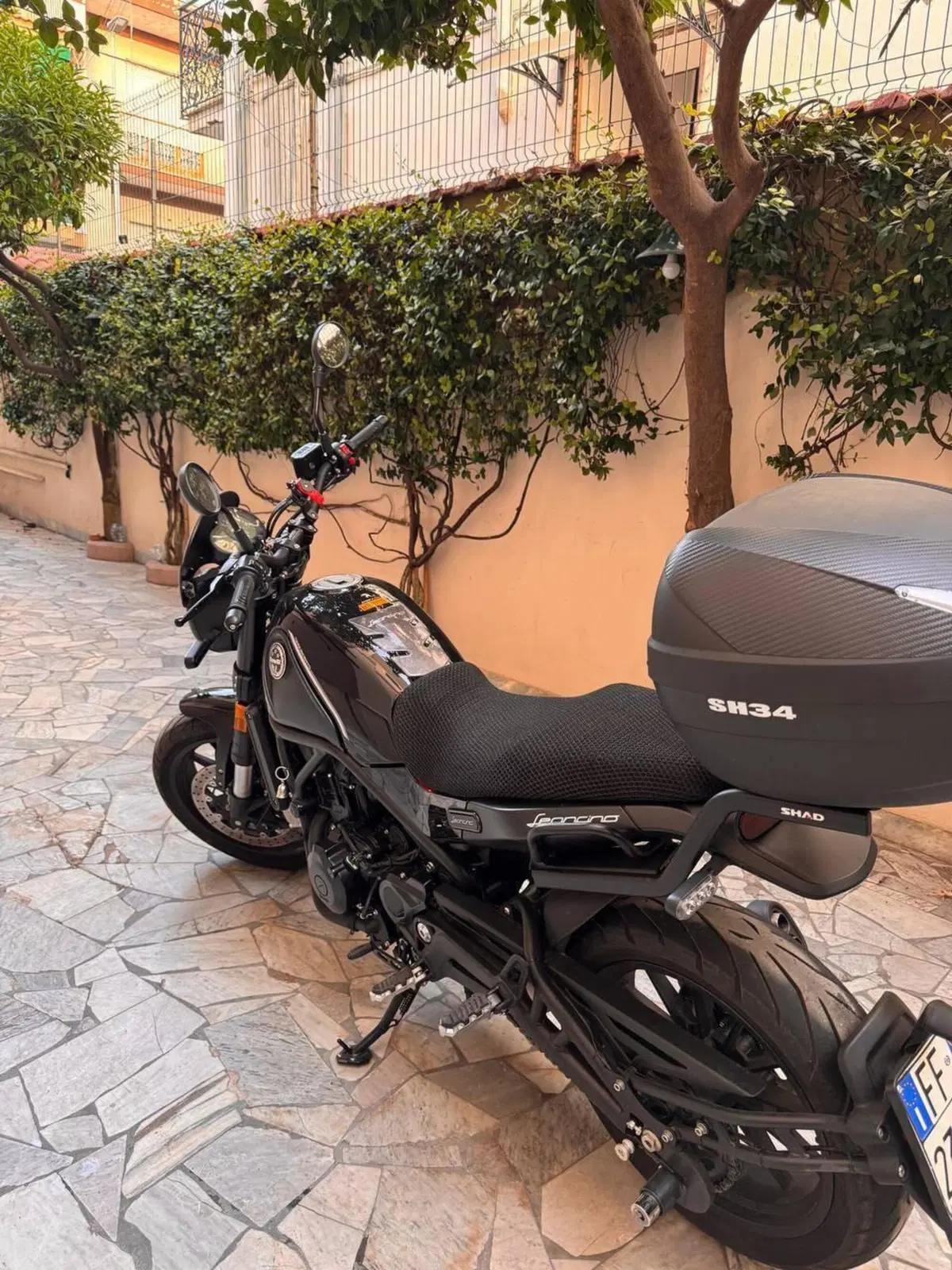 Benelli Leoncino 500 (2021 - 25) (2)