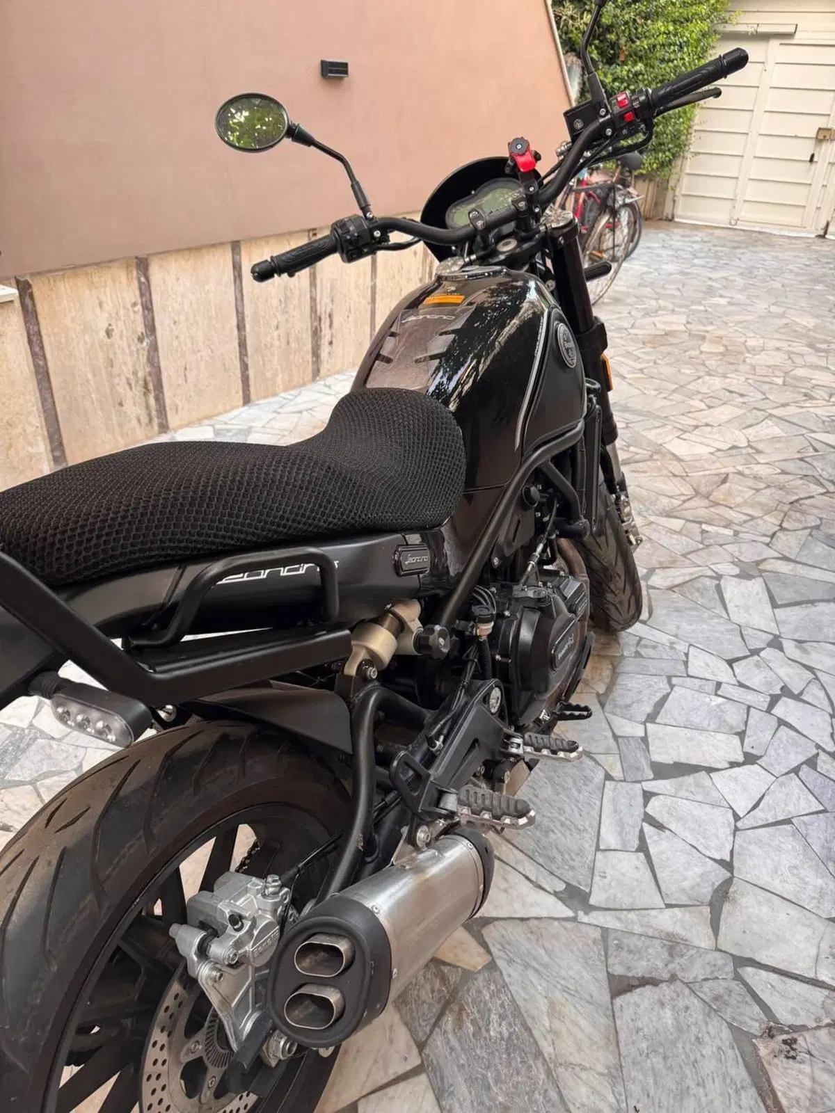 Benelli Leoncino 500 (2021 - 25) (3)