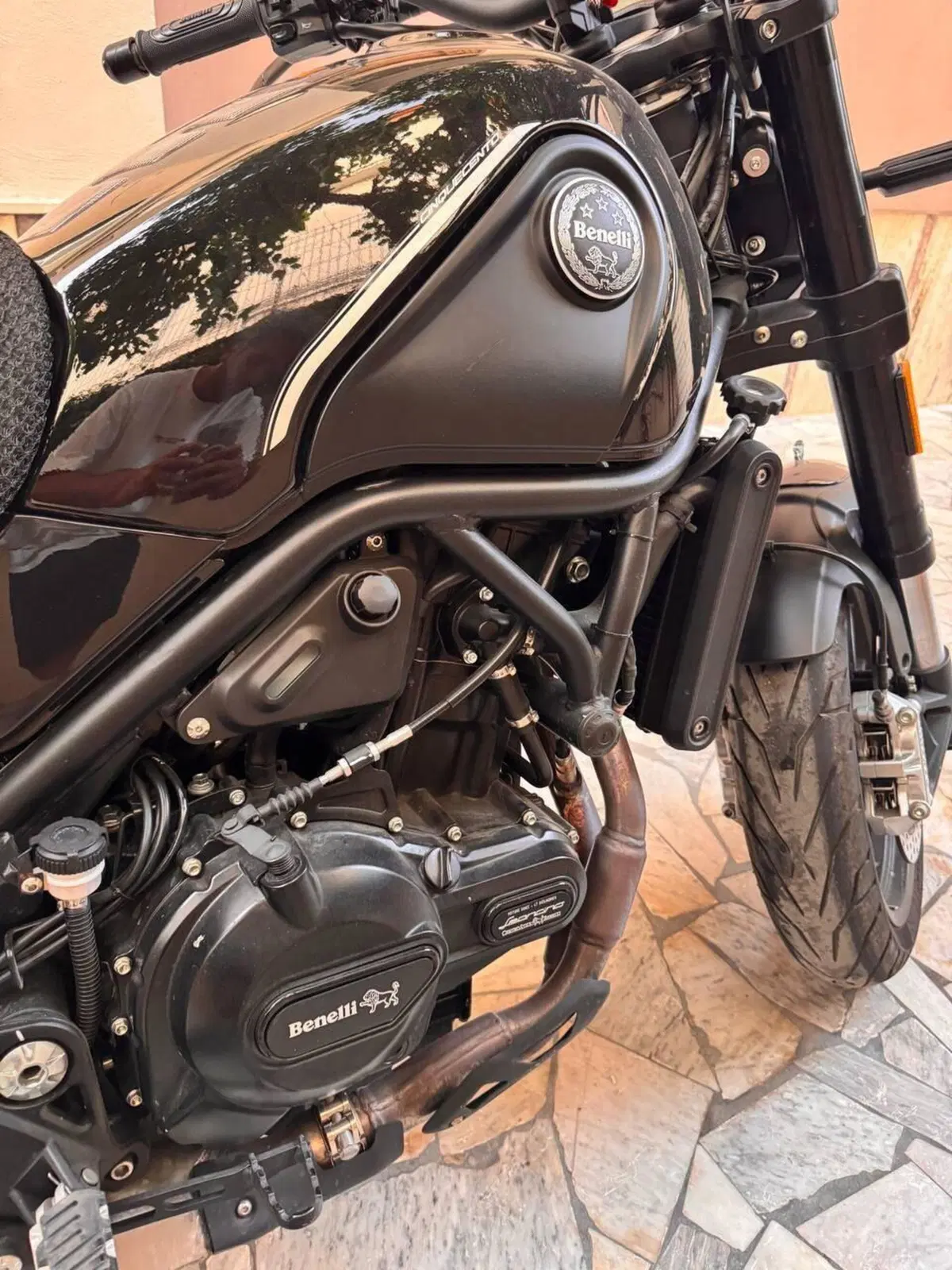 Benelli Leoncino 500 (2021 - 25) (4)