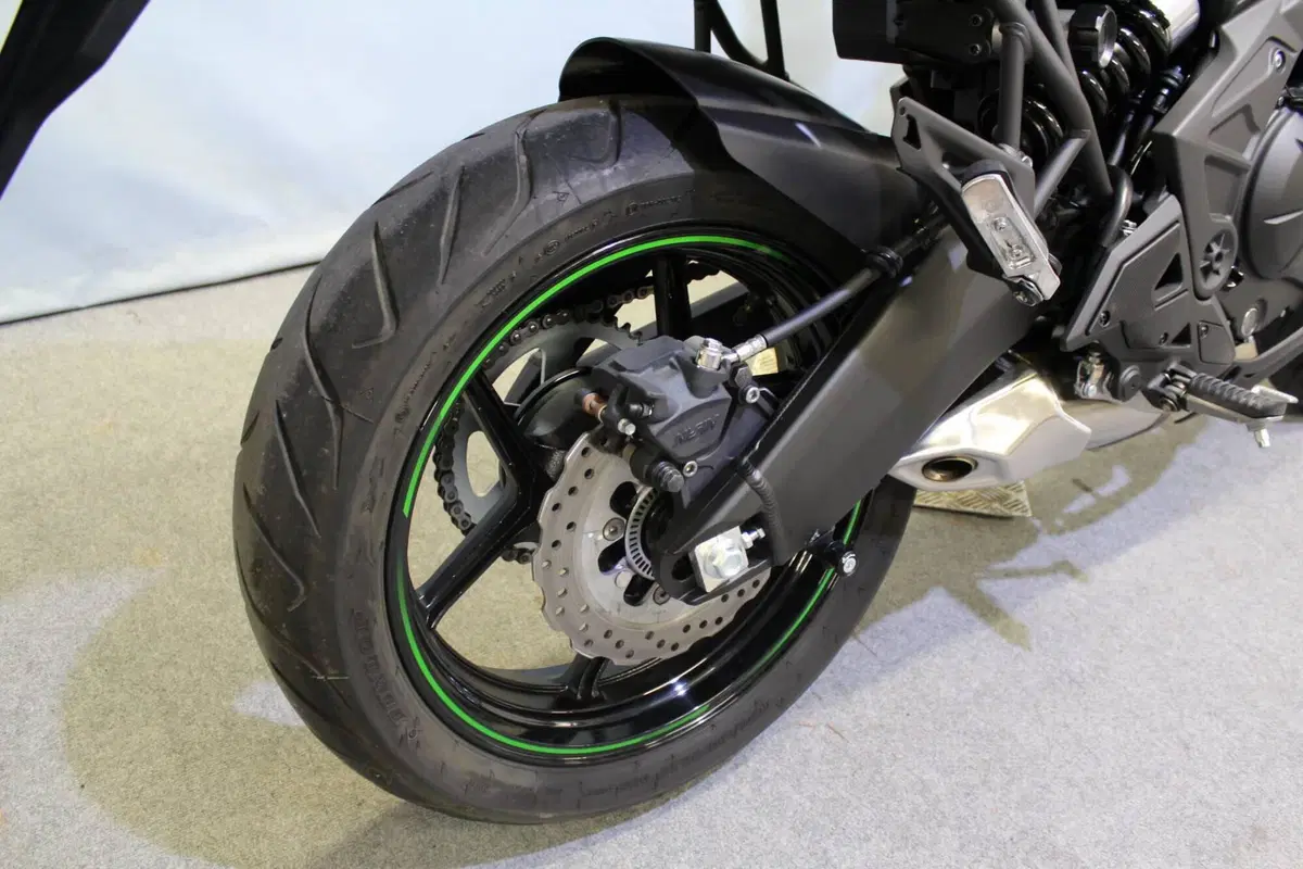 Kawasaki Versys 650 (2025 - 26) (6)