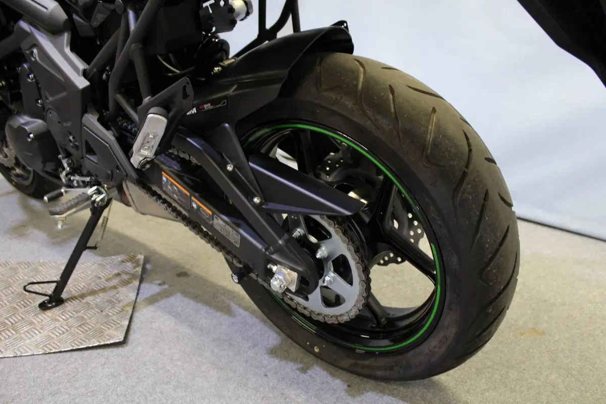 Kawasaki Versys 650 (2025 - 26) (15)