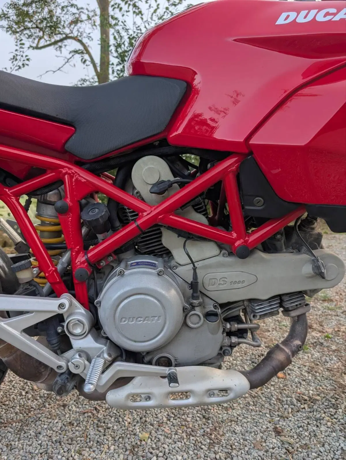 Ducati Multistrada 1000 DS (2003 - 06) (9)