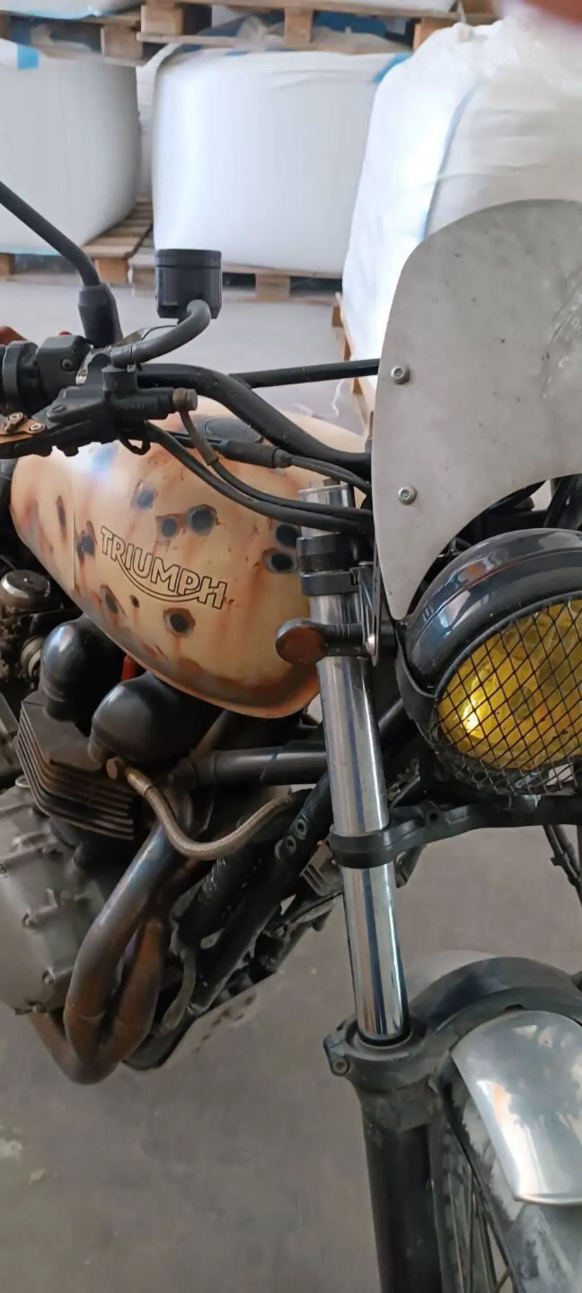 Triumph Scrambler (2006 - 17) (6)