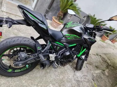 Kawasaki Z 650 (2021 - 24) usata