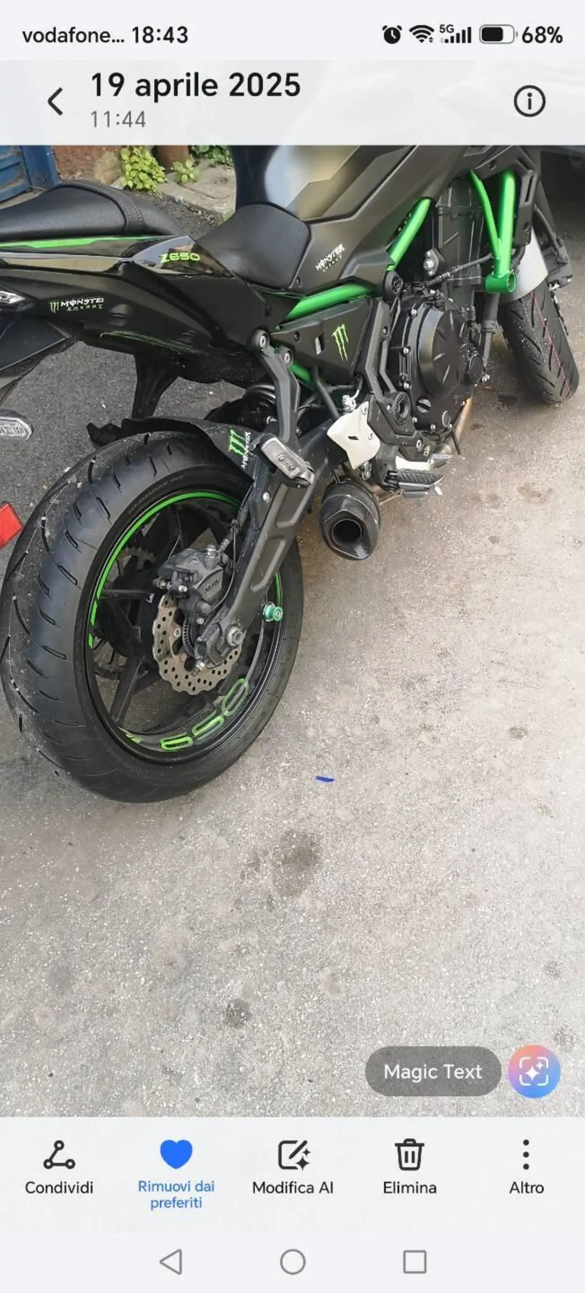 Kawasaki Z 650 (2021 - 24) (5)