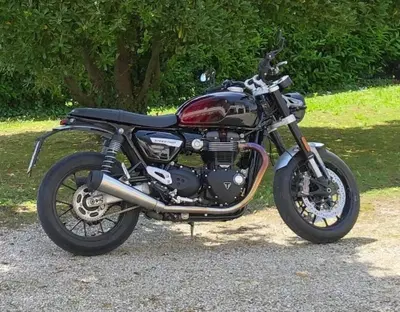 Triumph Speed Twin 1200 Stealth Edition (2024) usata