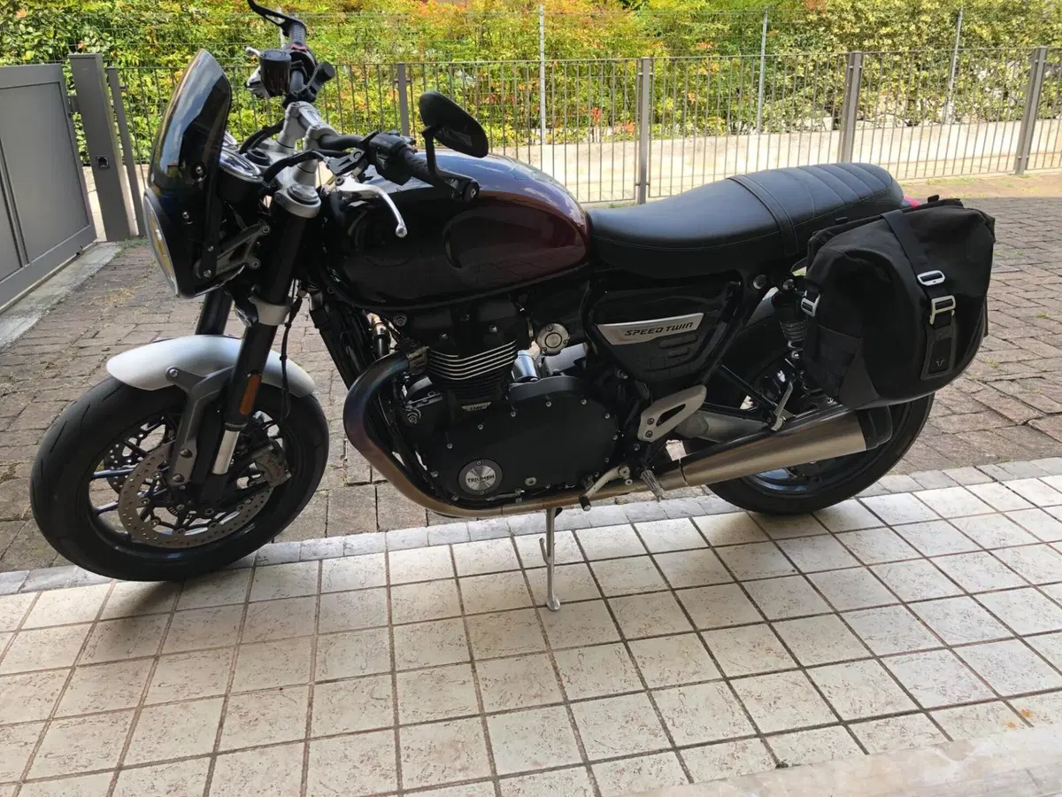 Triumph Speed Twin 1200 Stealth Edition (2024) (3)