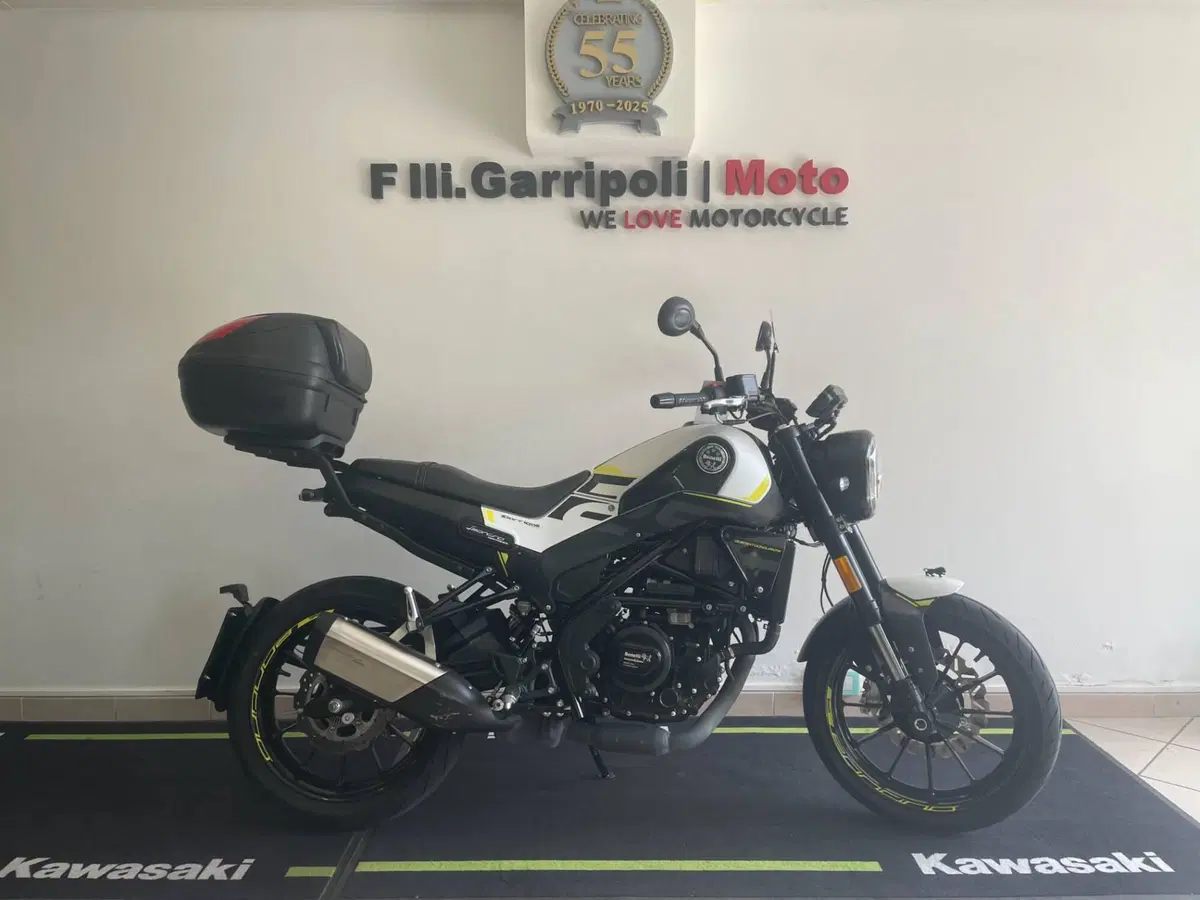 Benelli Leoncino 250 (2021 - 25) (2)