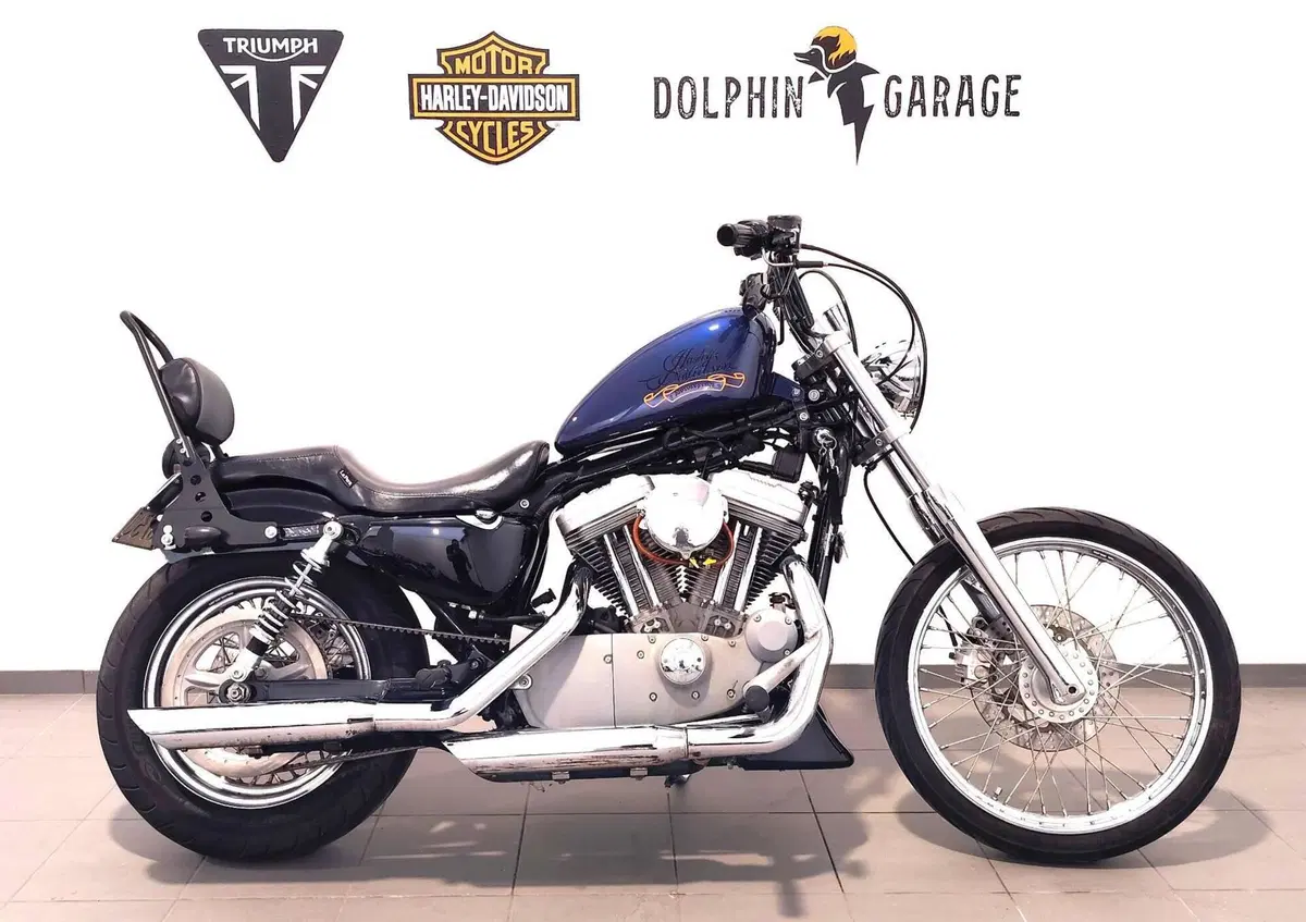 Harley-Davidson 883 Custom (2001 - 05) - XL 53C (2)