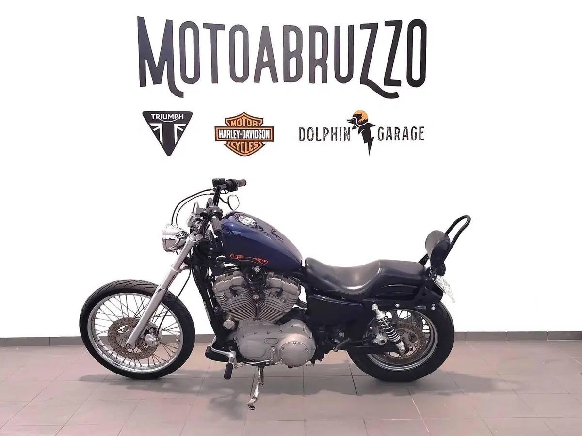 Harley-Davidson 883 Custom (2001 - 05) - XL 53C (5)