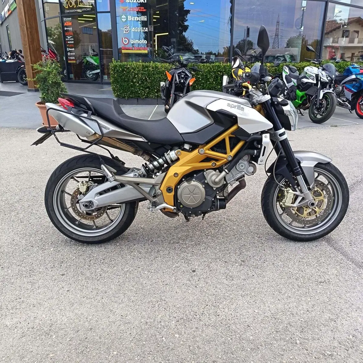 Aprilia Shiver 750 (2008 - 10) (2)
