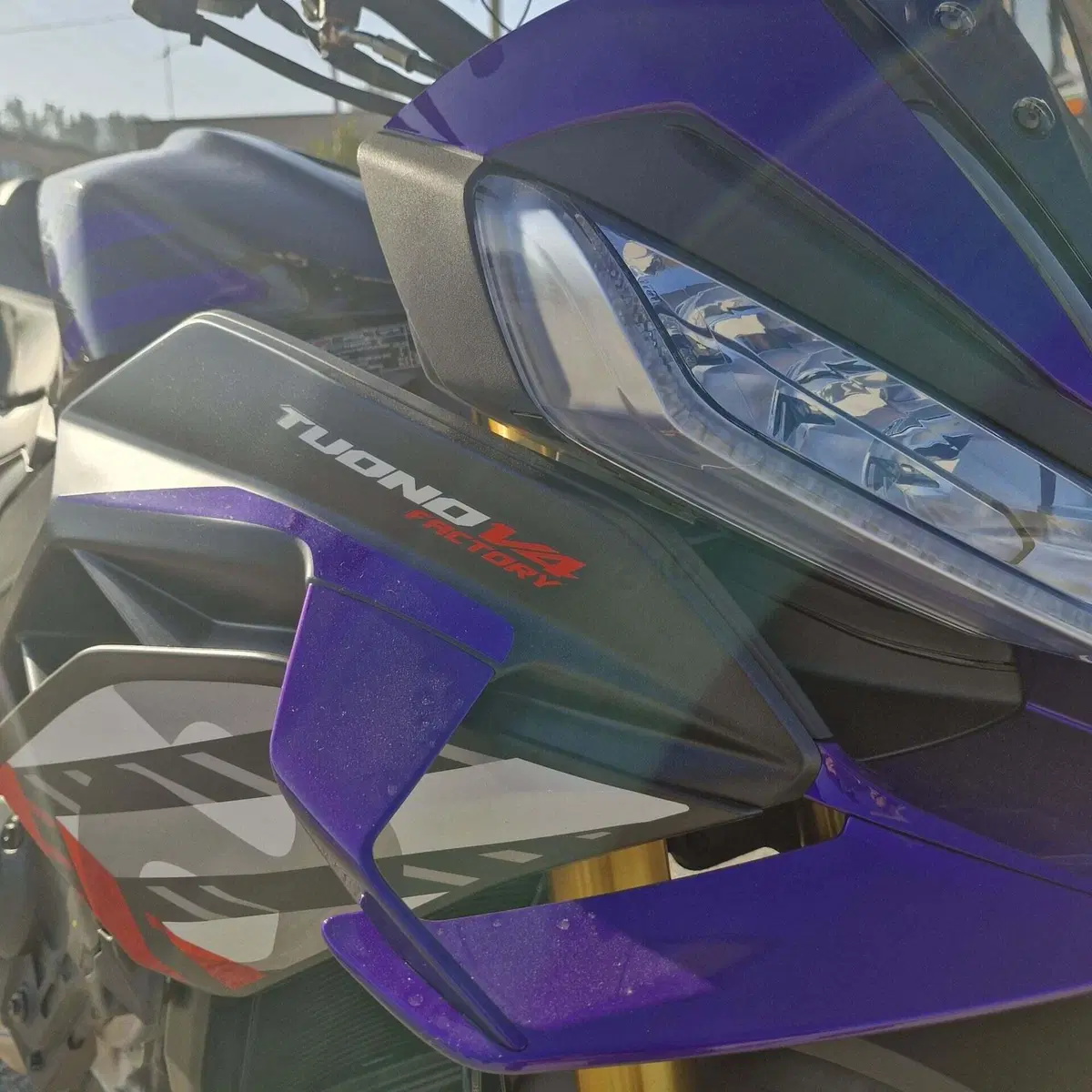 Aprilia Tuono V4 Factory (2025 - 26) (7)