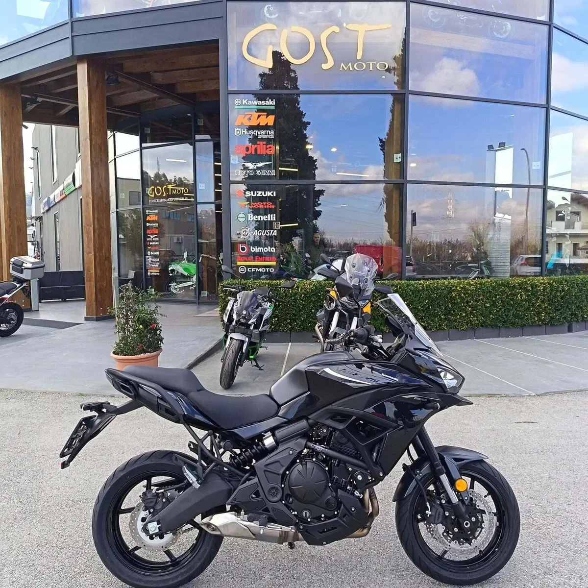 Kawasaki Versys 650 (2025 - 26) (2)