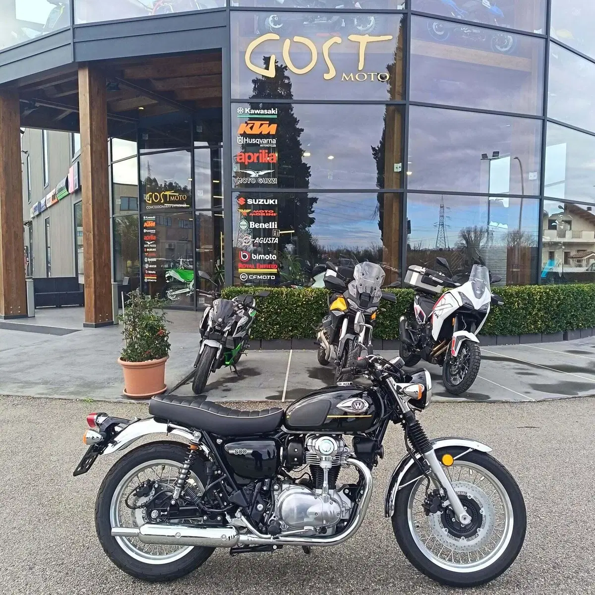 Kawasaki W 800 (2021 - 26) (2)