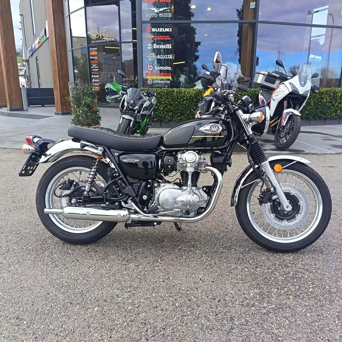 Kawasaki W 800 (2021 - 26) (3)