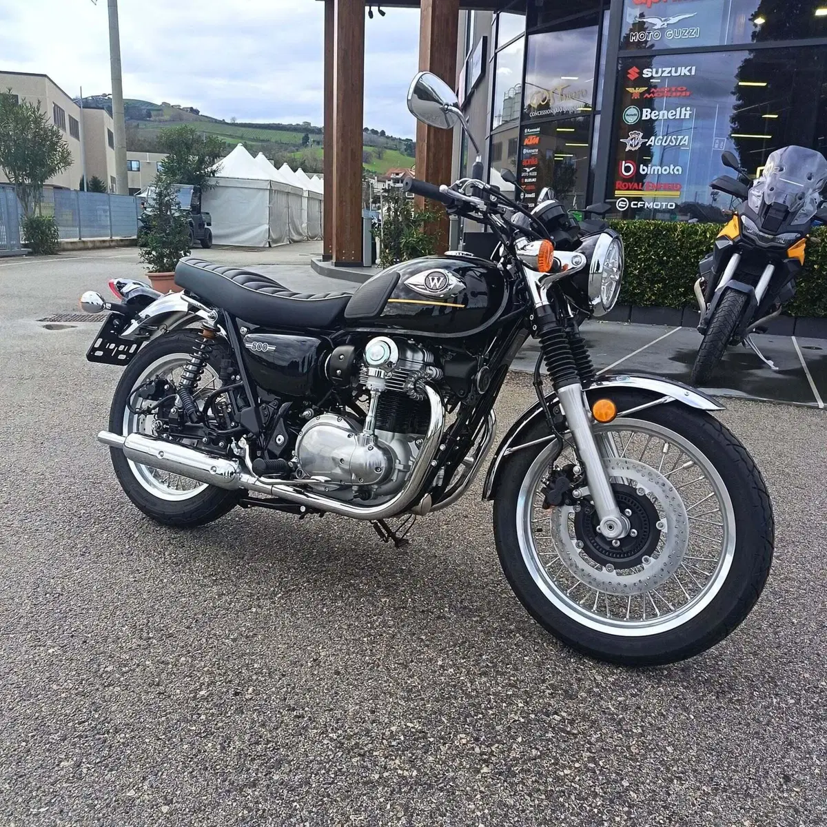 Kawasaki W 800 (2021 - 26) (4)