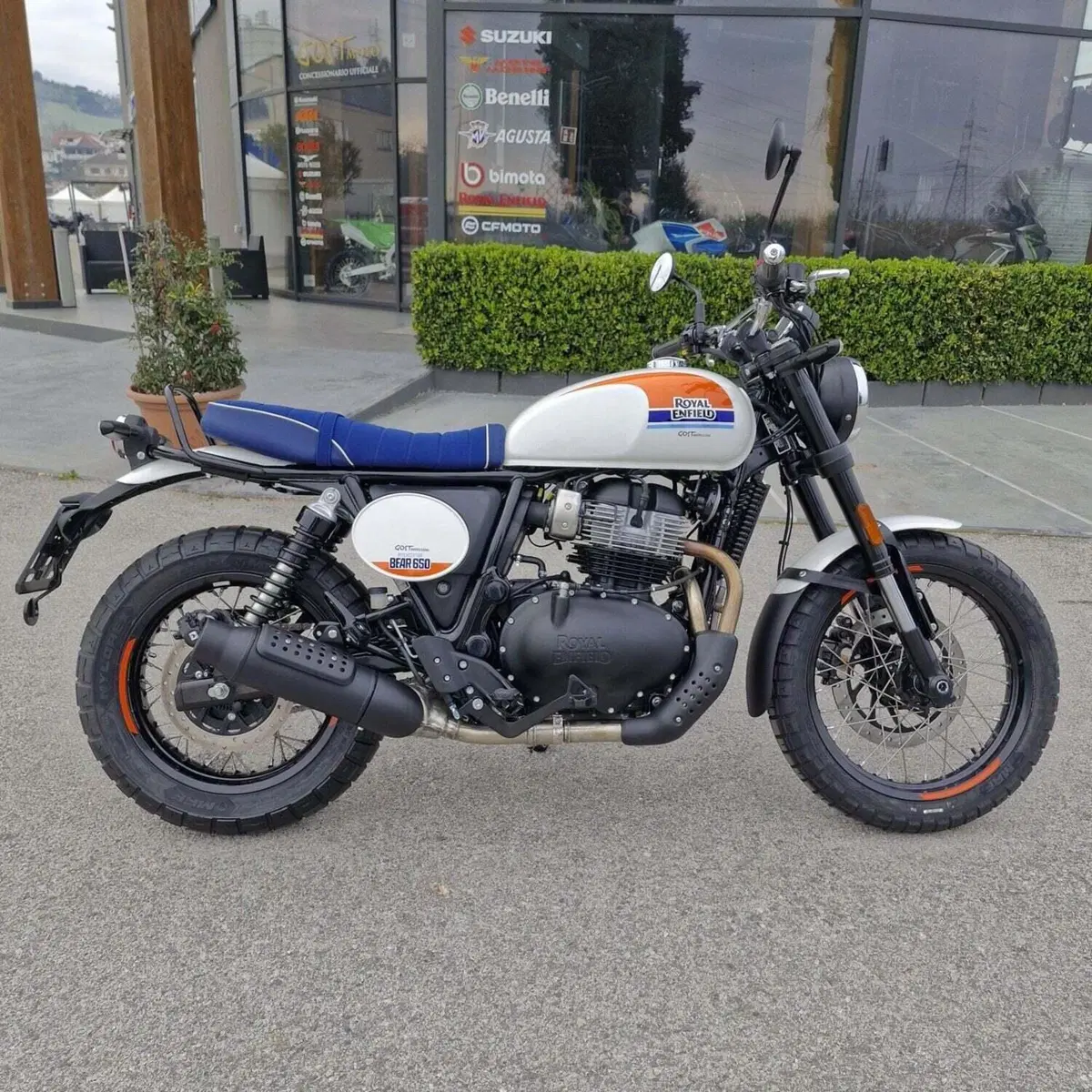 Royal Enfield Bear 650 (2025 - 26) (2)