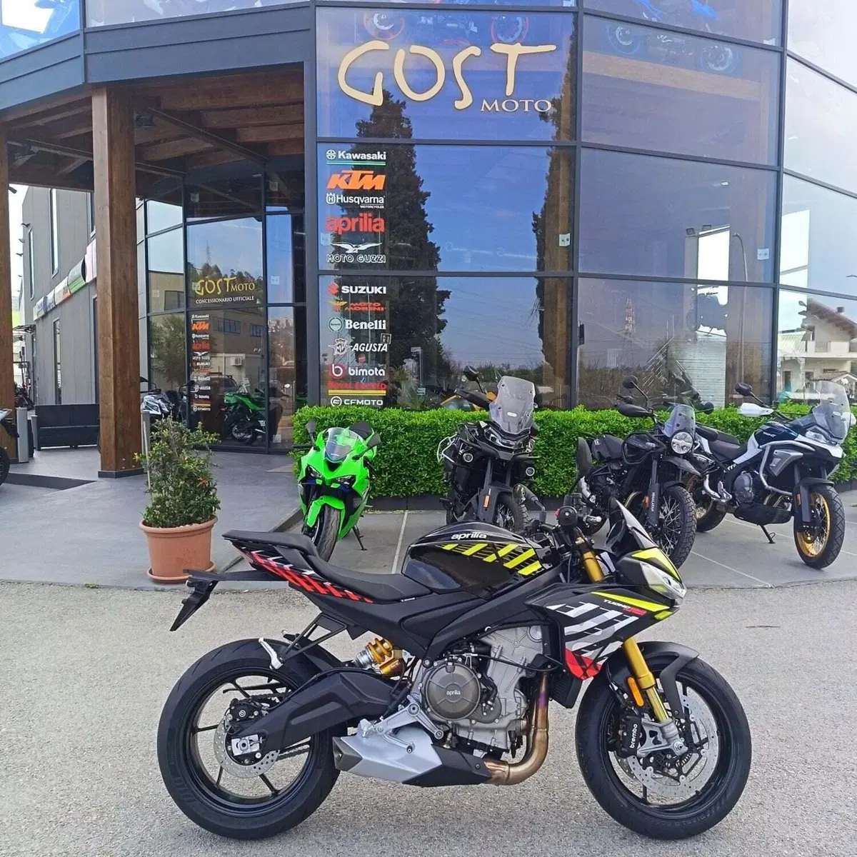 Aprilia Tuono 660 Factory (2025 - 26)