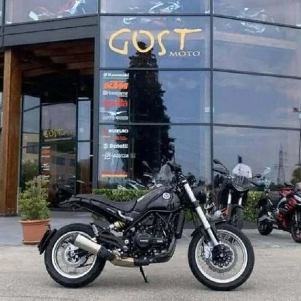 Benelli Leoncino 500 Trail (2021 - 26) (2)