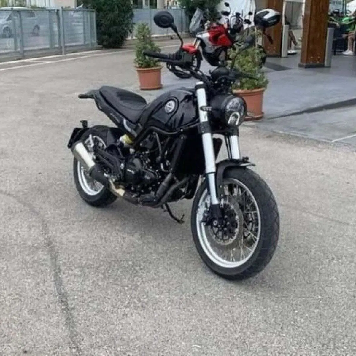 Benelli Leoncino 500 Trail (2021 - 26) (3)