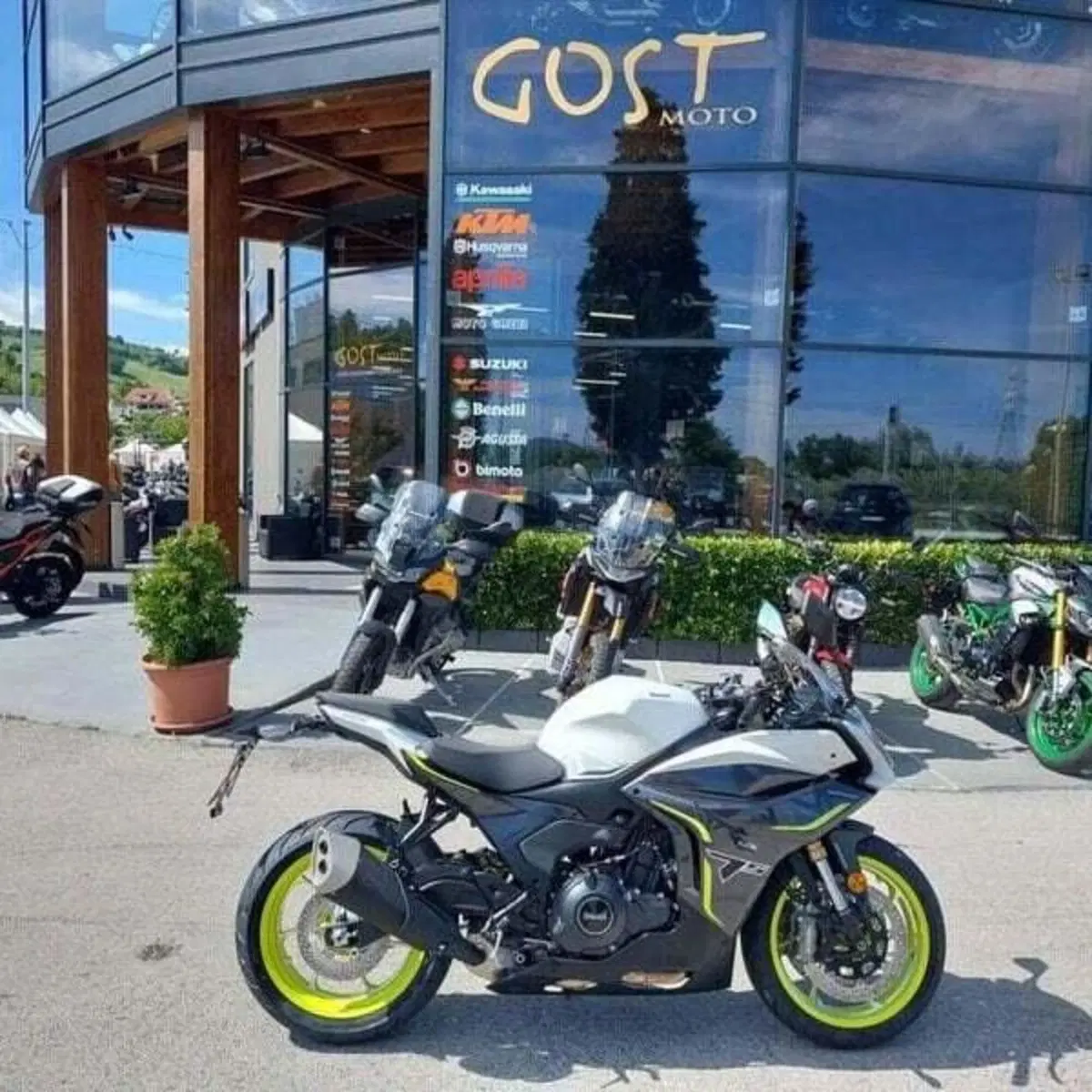 Benelli Tornado 550 (2025 - 26) (2)