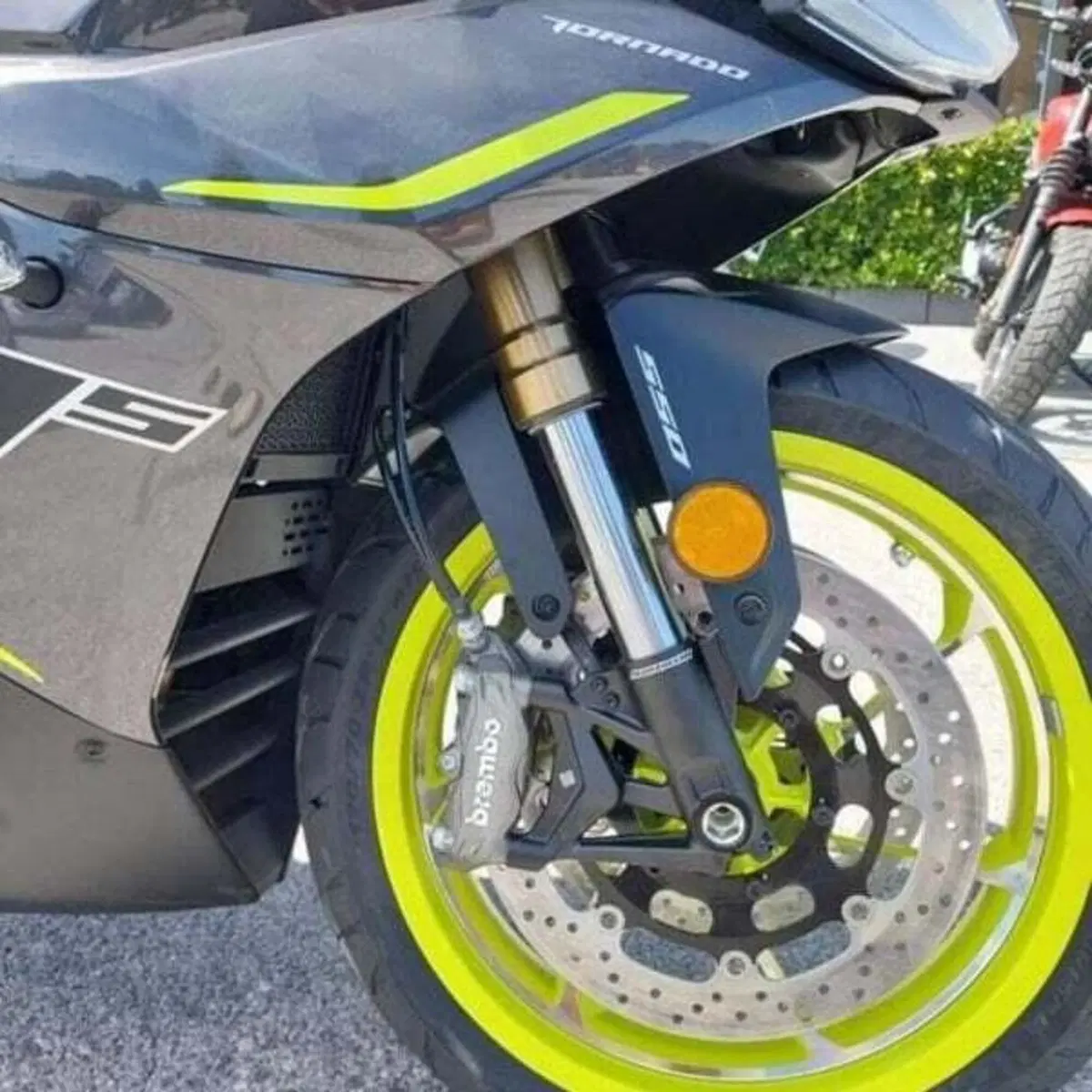Benelli Tornado 550 (2025 - 26) (7)