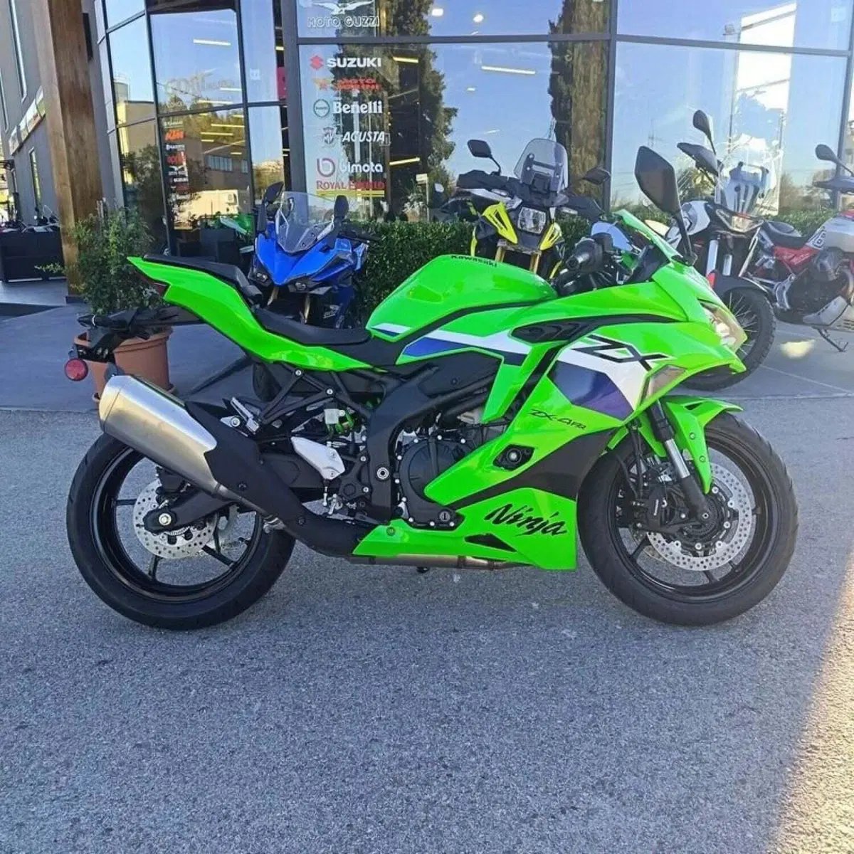 Kawasaki Ninja ZX-4RR (2024 - 26) (3)