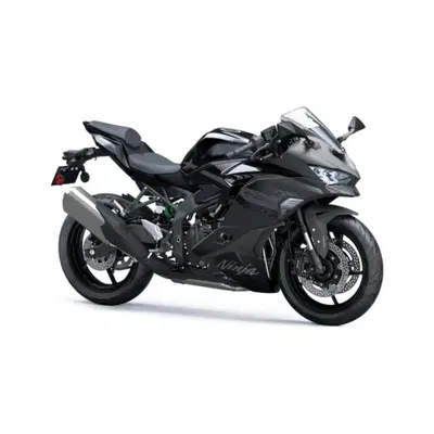 Kawasaki Ninja ZX-4RR (2024 - 26) nuova