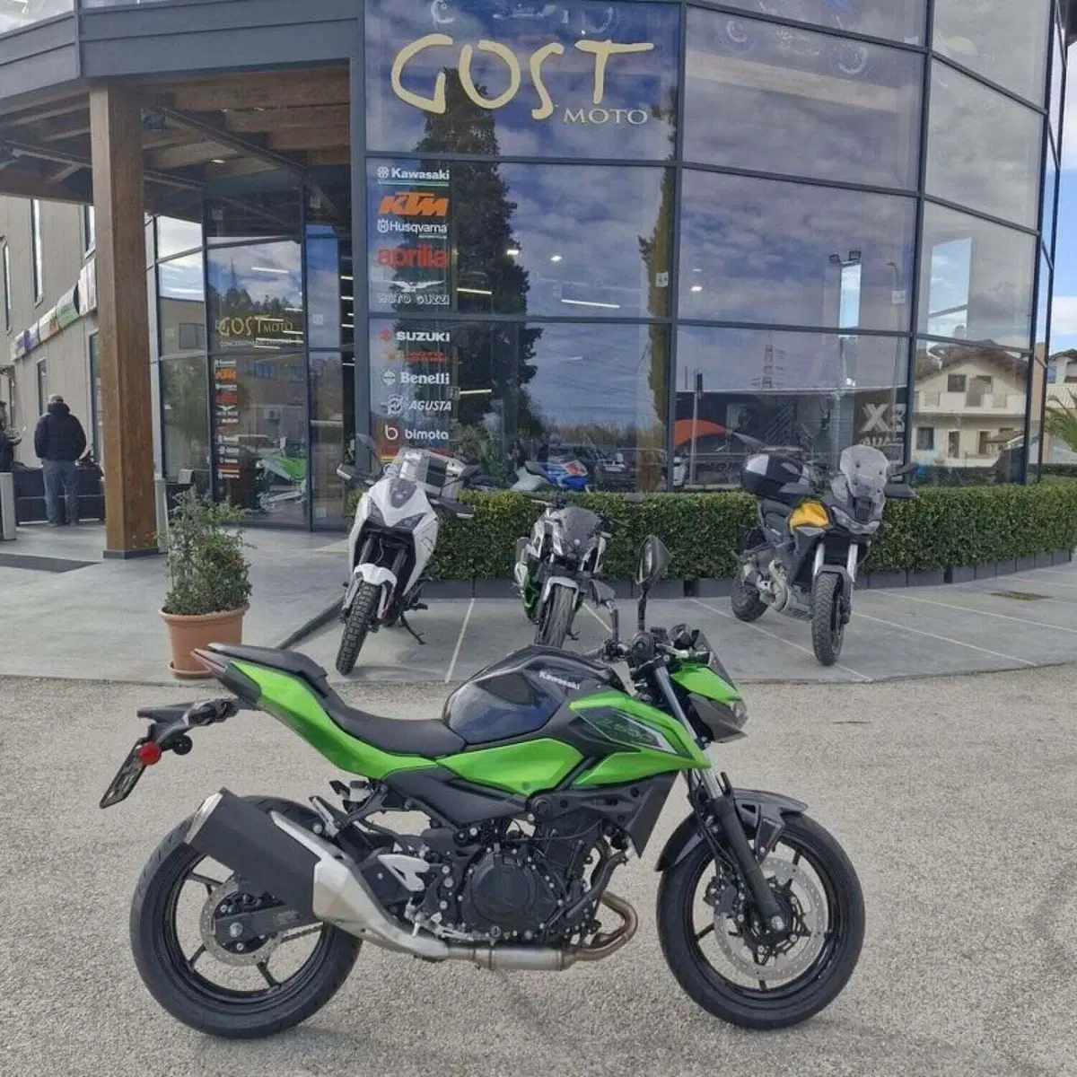 Kawasaki Z 500 (2024 - 26) (2)