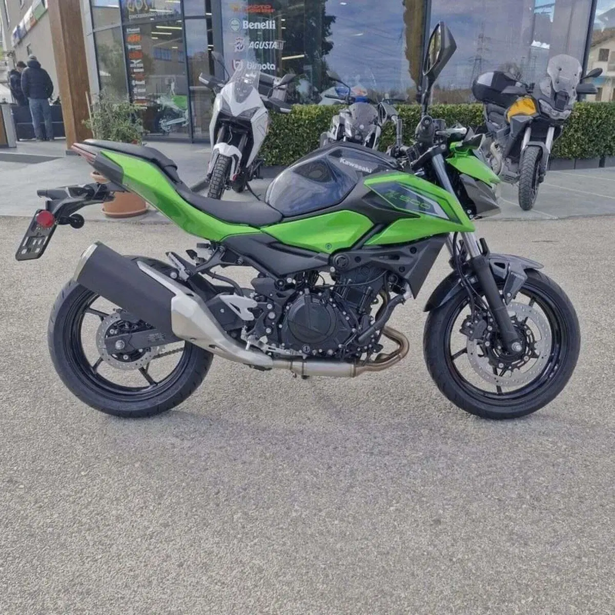 Kawasaki Z 500 (2024 - 26) (3)