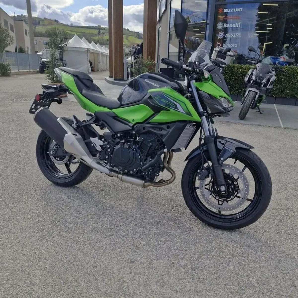 Kawasaki Z 500 (2024 - 26) (4)