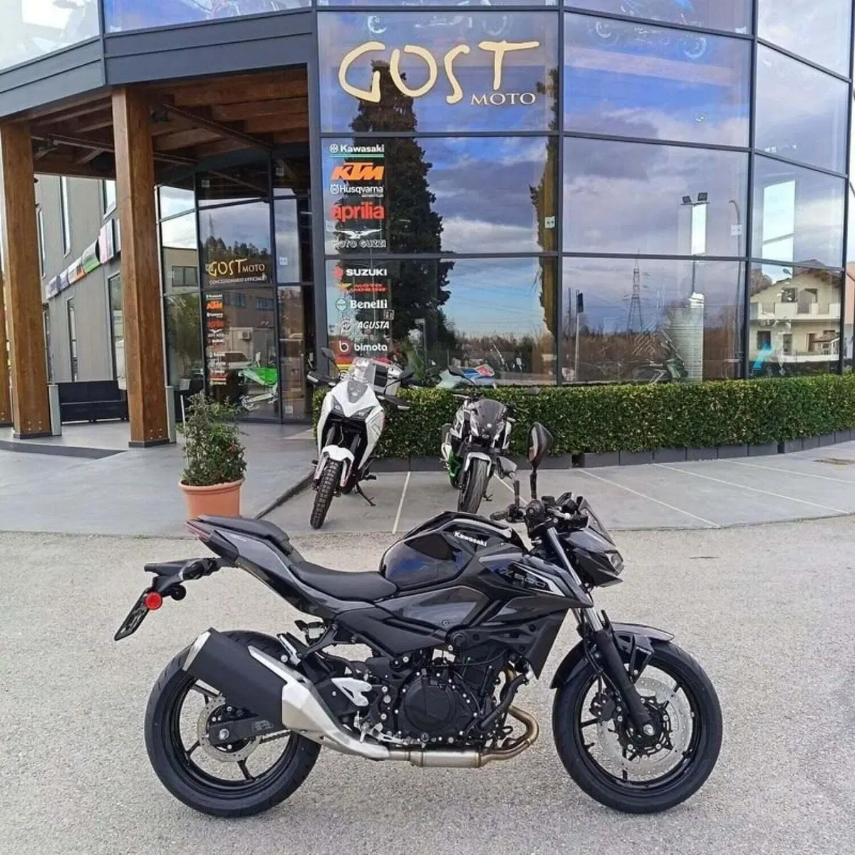 Kawasaki Z 500 (2024 - 26) (2)
