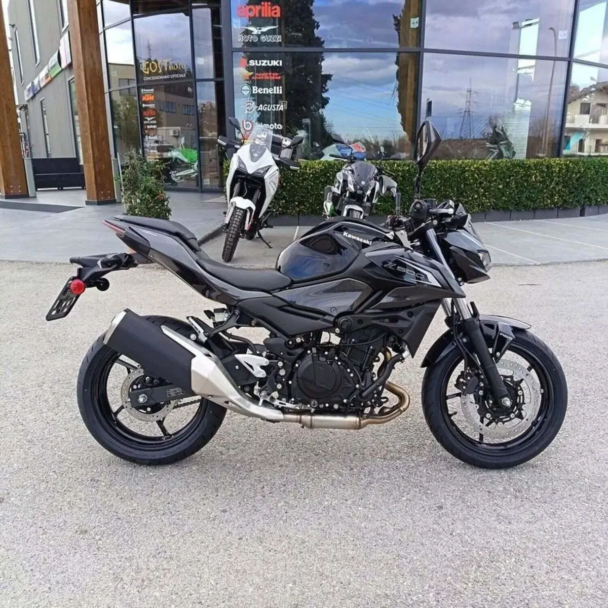 Kawasaki Z 500 (2024 - 26) (3)