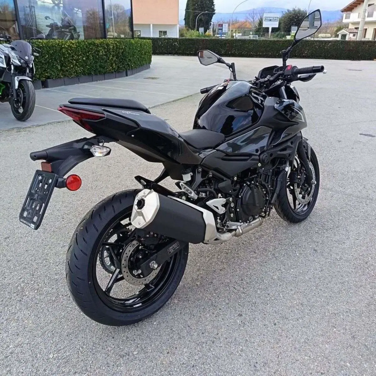 Kawasaki Z 500 (2024 - 26) (8)
