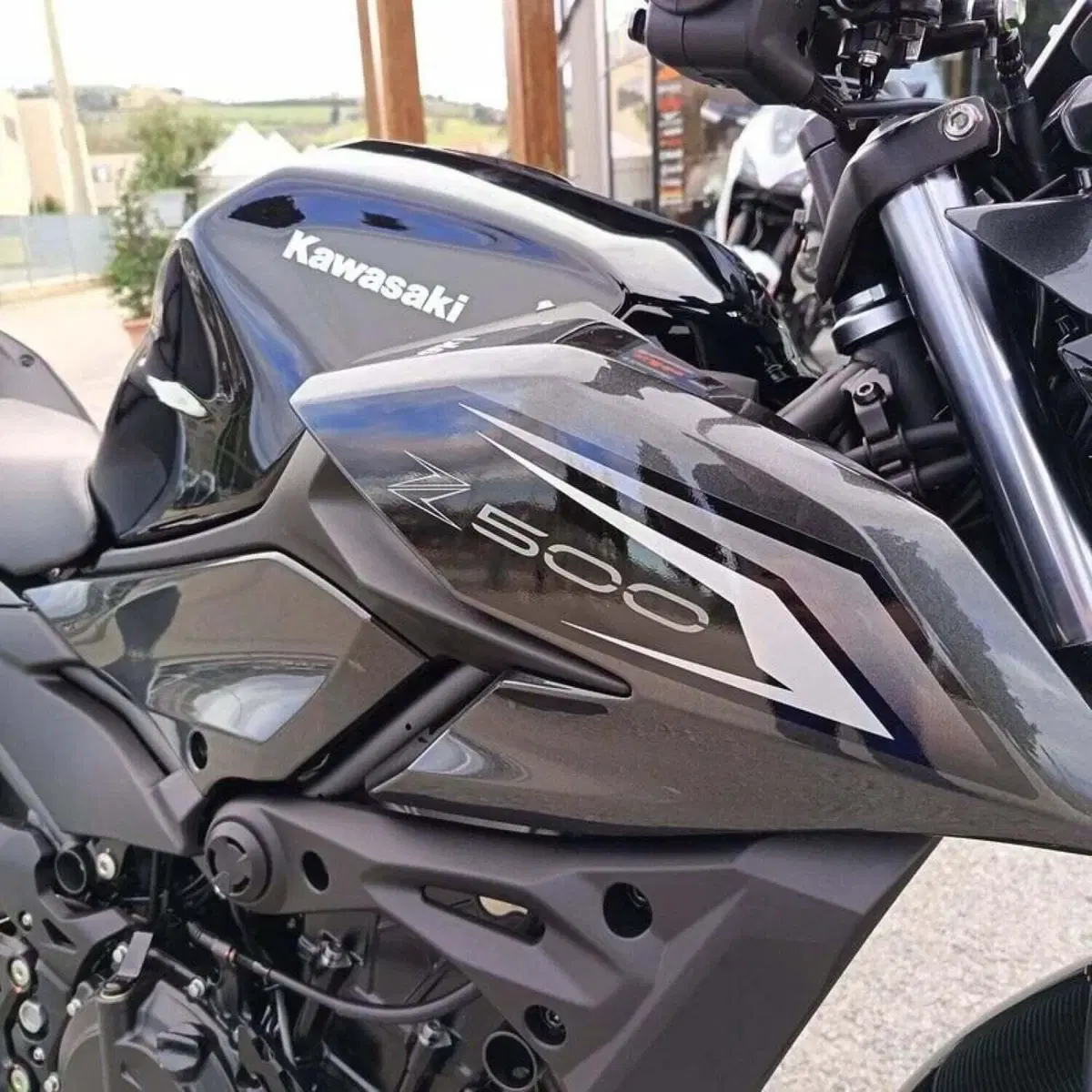 Kawasaki Z 500 (2024 - 26) (9)
