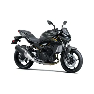 Kawasaki Z 500 (2024 - 26) nuova