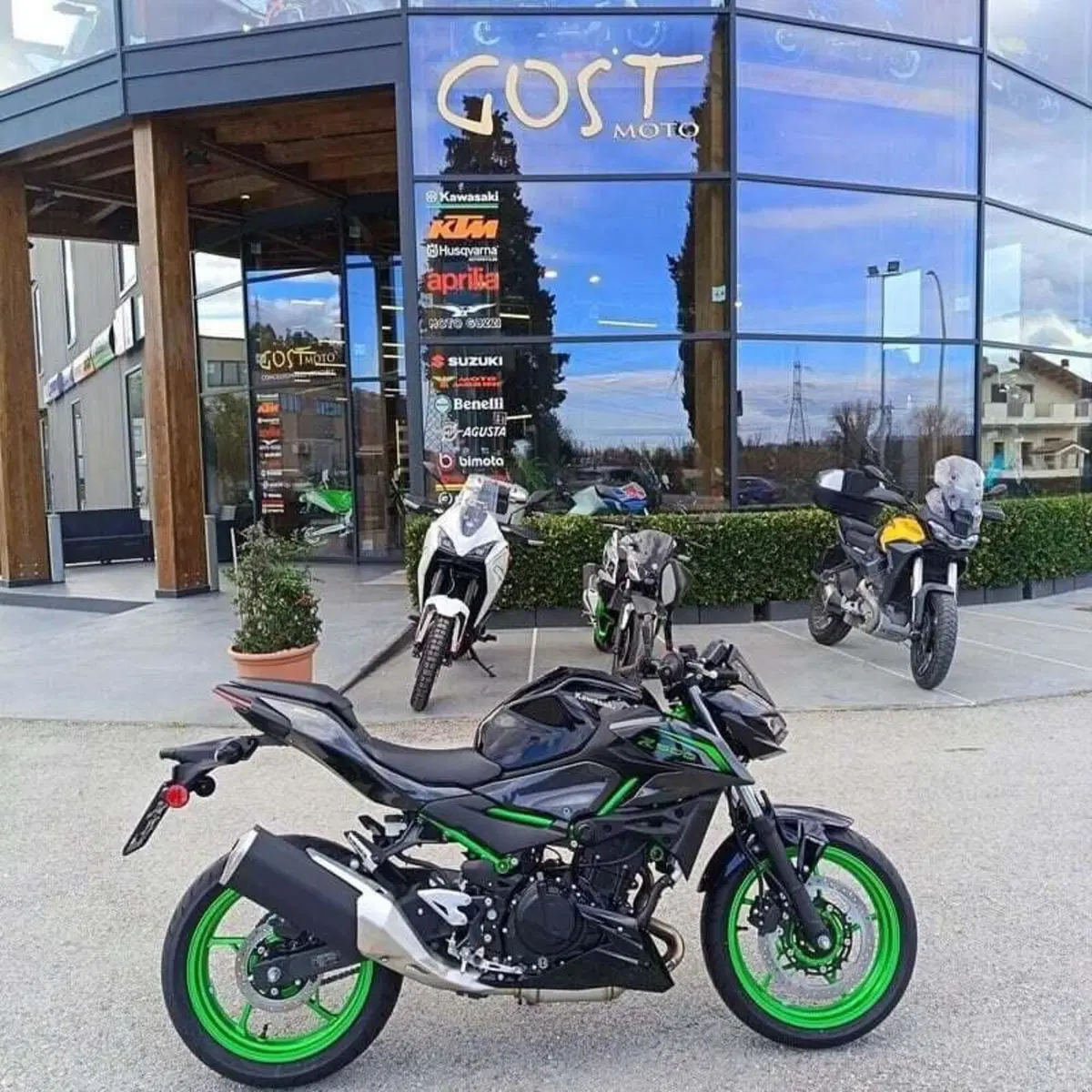 Kawasaki Z 500 SE (2024 - 26) (2)