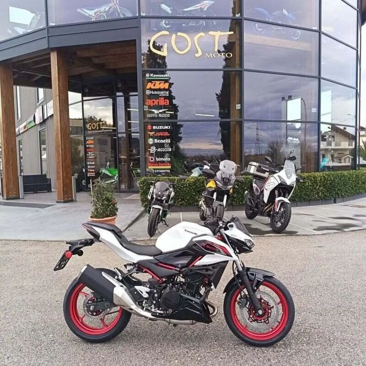 Kawasaki Z 500 SE (2024 - 26) (2)