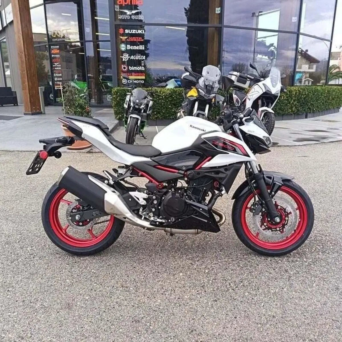 Kawasaki Z 500 SE (2024 - 26) (3)