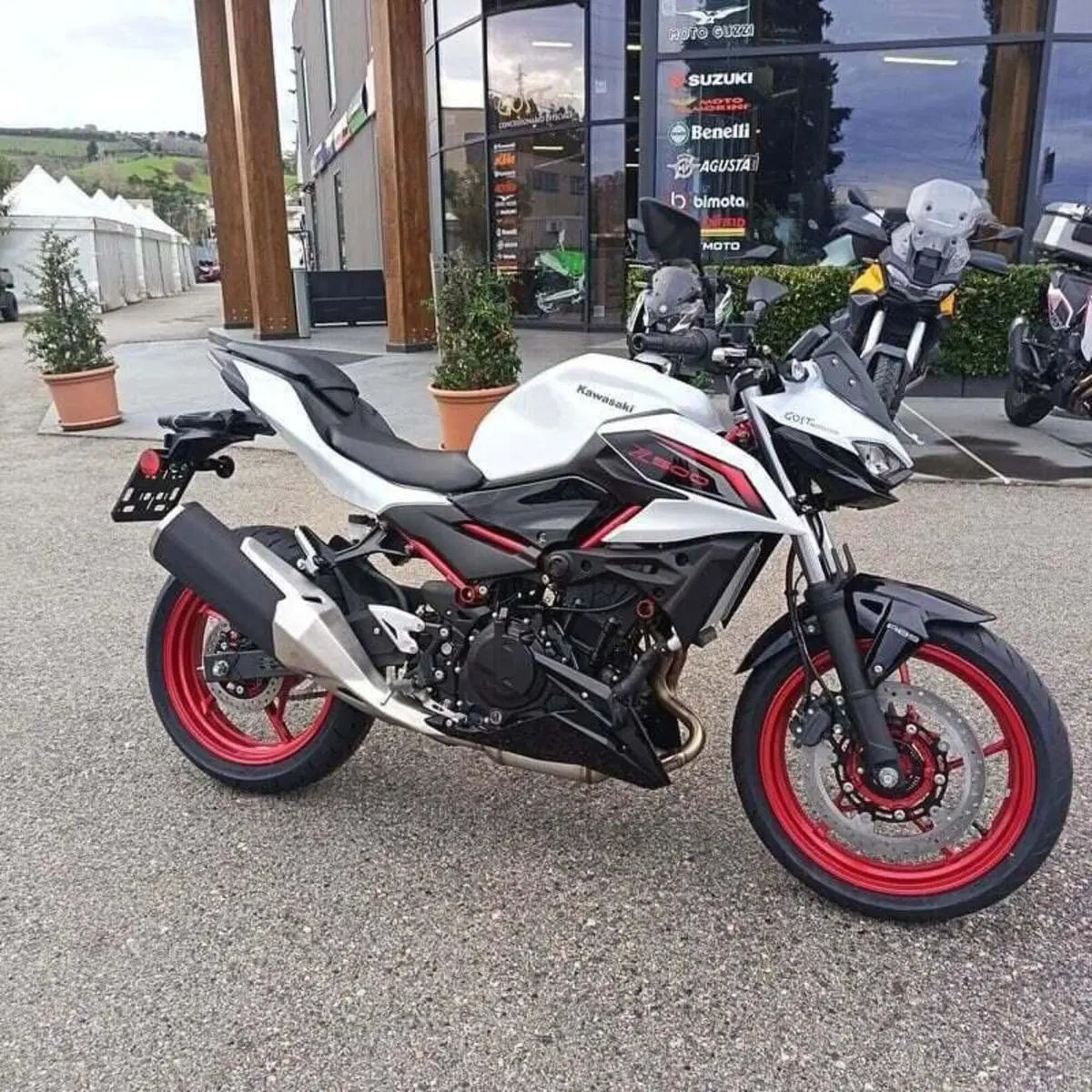 Kawasaki Z 500 SE (2024 - 26) (4)