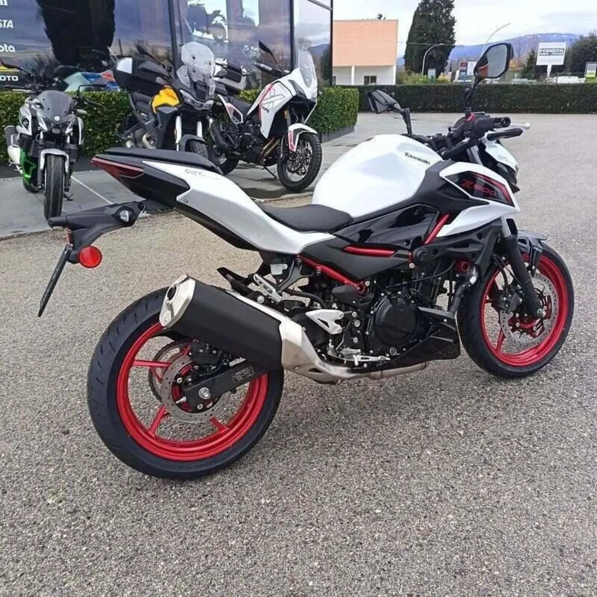Kawasaki Z 500 SE (2024 - 26) (5)