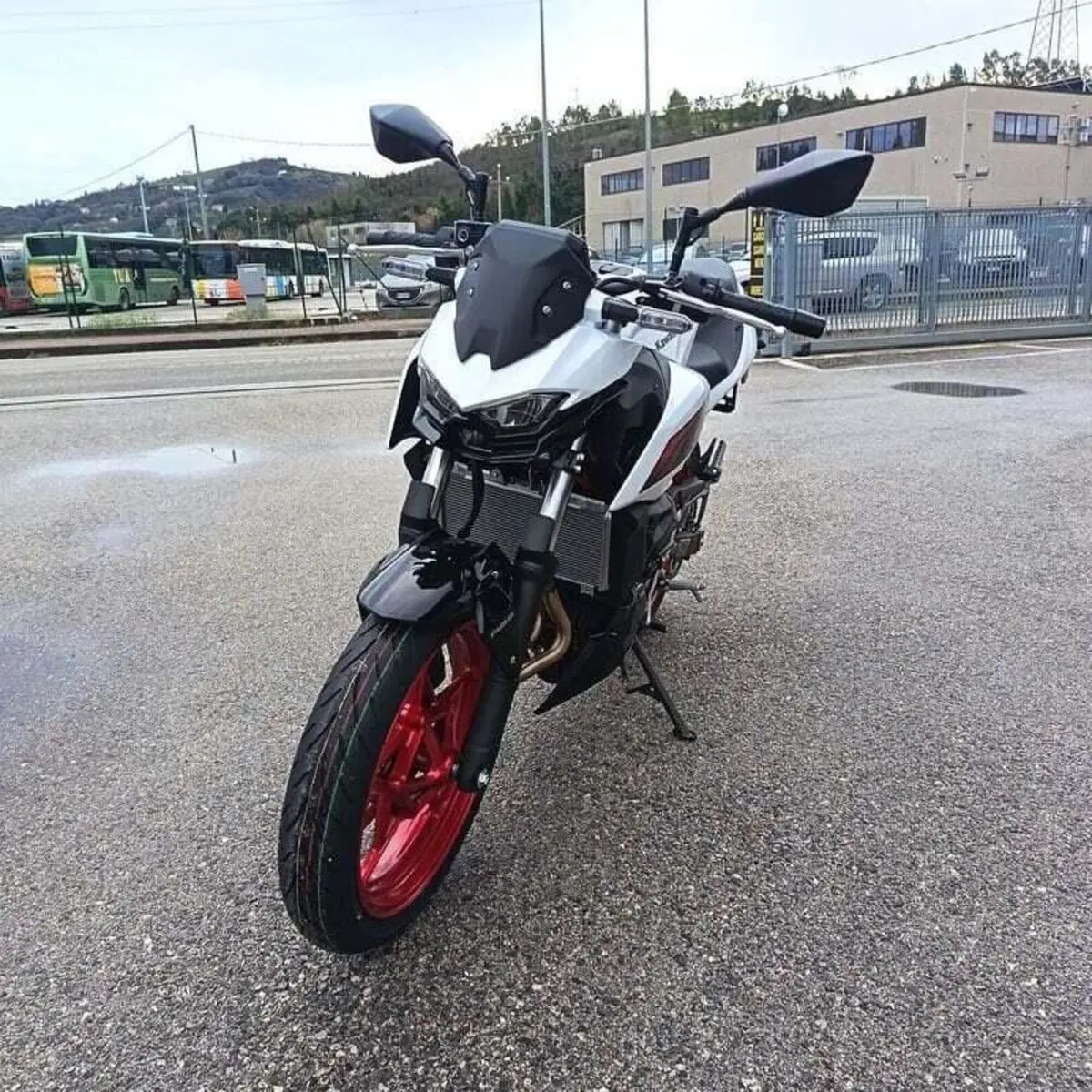 Kawasaki Z 500 SE (2024 - 26) (9)